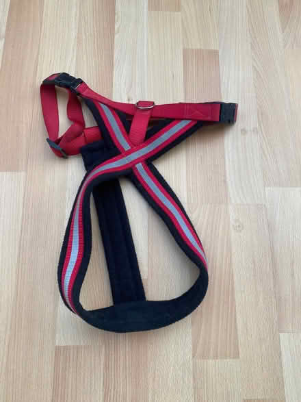 Photo of free Dog harness (Kings Heath B13) #2