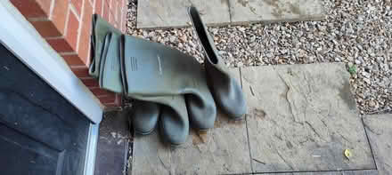 Photo of free Two pairs of wellies size 11 (Evercreech BA4) #1