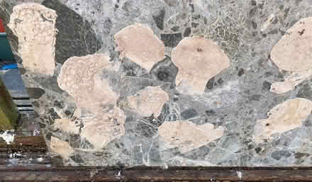 Photo of free Used Marble tiles (Bannockburn FK7) #3