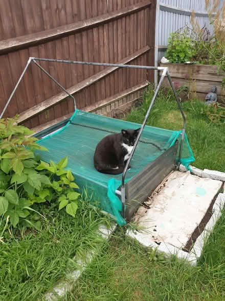 Photo of Wire/Metal Cage-Like Sides (Prestwood HP16) #2