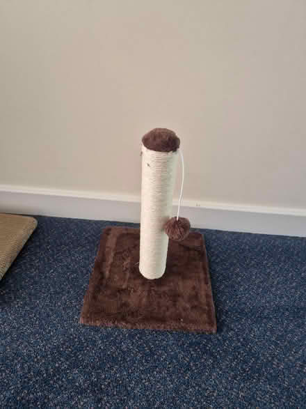 Photo of free Sisal cat scratching post (Coxheath ME17) #1