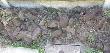 Photo of free 5m2 topsoil (Longbarn WA2) #1