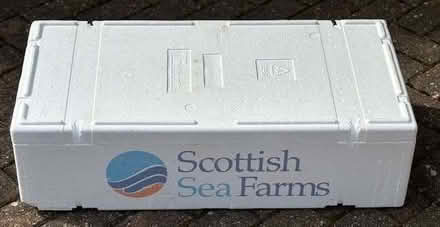 Photo of free Large Polystyrene Box (Kennington OX1) #1