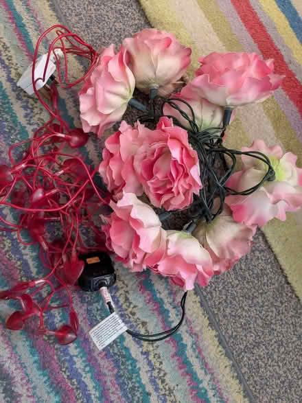 Photo of free Two set plug in fairy lights (Cam GL11) #1