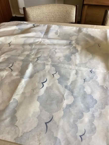 Photo of free Shower curtain (Beaconsfield HP9) #1
