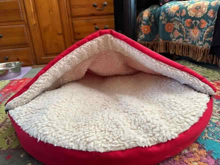 Photo of free Dog bed (Eynsham OX29) #1