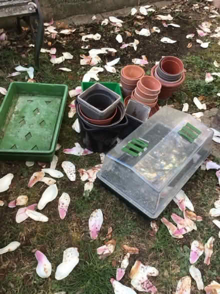 Photo of free Garden bits and pieces (Garden City OX5) #3