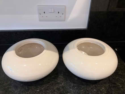 Photo of free Orchid Pots (Beaconsfield HP9) #1