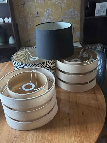 Photo of free Lampshades (L11 Croxteth) #1