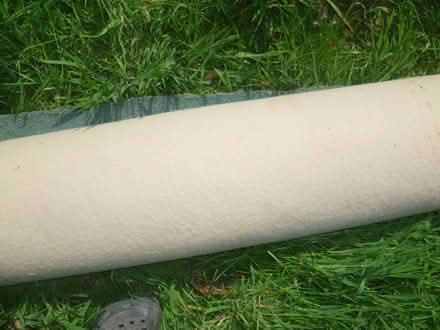 Photo of free Carpet square approx 7ft x 7ft (Runcton PO20) #3
