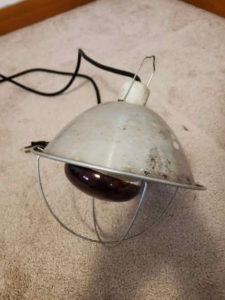 Photo of free Heat lamp (Ravenna) #1