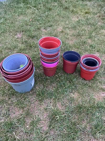 Photo of free Nursery pots (Stevenage SG2) #1