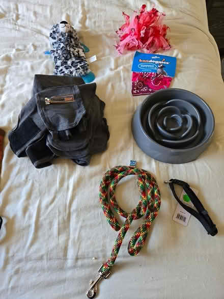 Photo of free Dog stuff (South San Francisco) #1