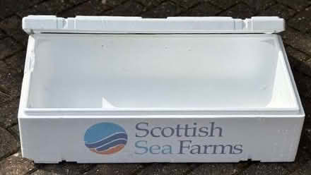 Photo of free Large Polystyrene Box (Kennington OX1) #2