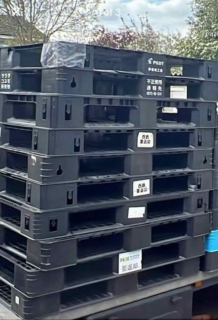 Photo of Plastic pallets (Slough SL16bs) #1
