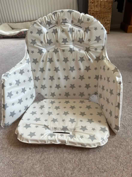 Photo of free High chair liner (Bewdley DY12) #1