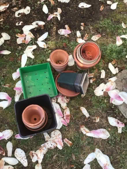 Photo of free Garden bits and pieces (Garden City OX5) #4