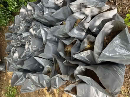 Photo of free Top Soil (Birmingham B32) #3