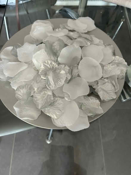 Photo of free Fake rose petals (Bewdley DY12) #1