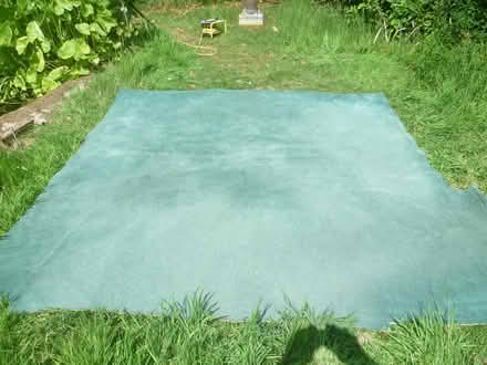 Photo of free Carpet square approx 7ft x 7ft (Runcton PO20) #2