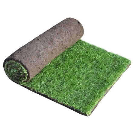 Photo of Turf rolls (Holloway road N4) #1