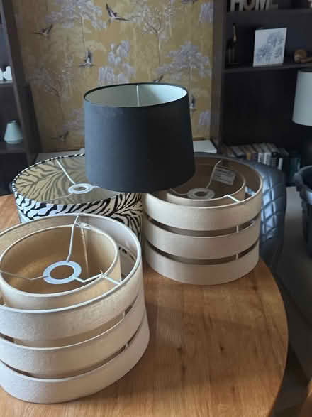 Photo of free Lampshades (L11 Croxteth) #2