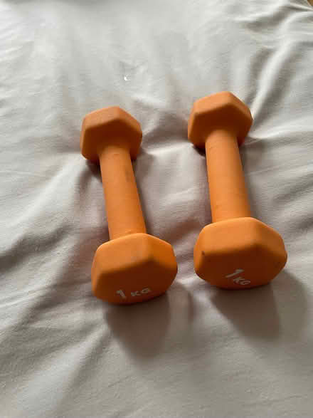 Photo of free 2x1kg dumbells (Knightsbridge SW7) #1
