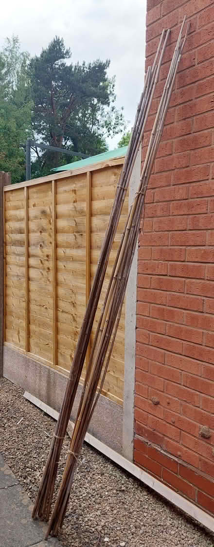 Photo of free 16 canes (Brookside TF3) #1