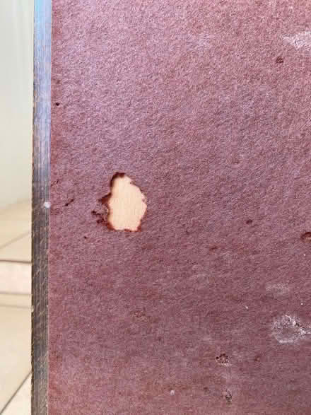 Photo of free Folding card table for upcycling (Benslow SG4) #2