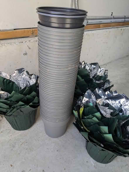 Photo of free 48 Plastic Plant Pots + Foil Wraps (Kirkland) #1