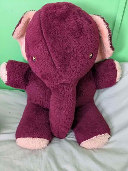 Photo of free Large teddy bear and purple elephant (Cam GL11) #2