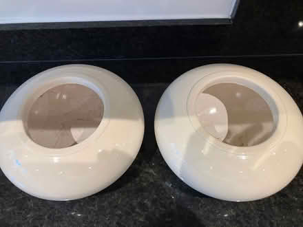 Photo of free Orchid Pots (Beaconsfield HP9) #2
