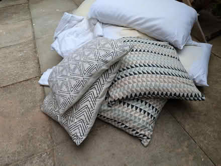Photo of free Lots of old cushions and pillows (St Albans AL3) #2