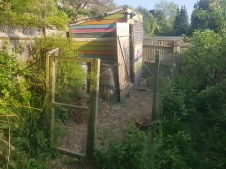 Photo of free Fencing and shed (Surrenden BN1) #1