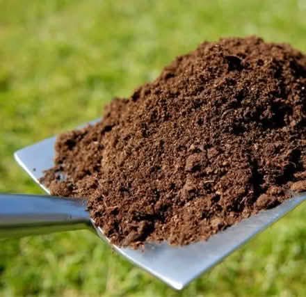 Photo of Topsoil (Hunter’s Bar S11) #1
