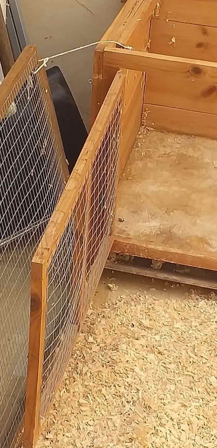 Photo of free Guinea Pig or Rabbit hutch and run (Adderwell BA11) #2