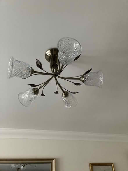 Photo of free Ceiling Lights (Taverham NR8) #1