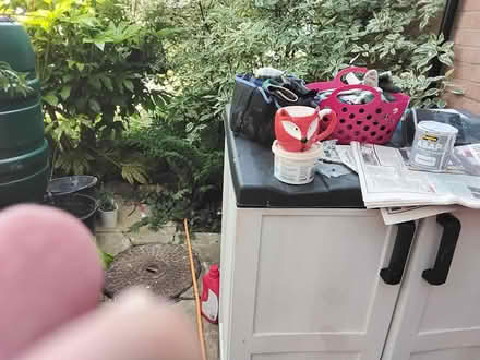 Photo of free Mug drinking (Taunton) #1