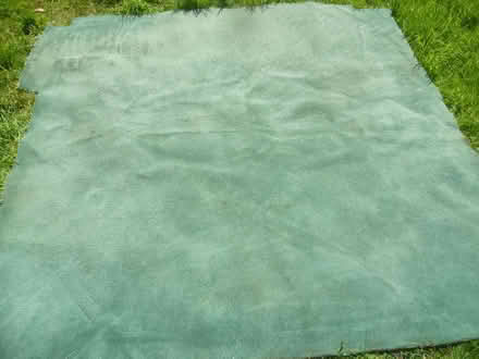 Photo of free Carpet square approx 7ft x 7ft (Runcton PO20) #1