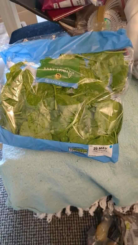 Photo of free Spinach (Braithwaite BD22) #1