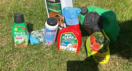 Photo of free Garden Bug Spray (SE13) #1