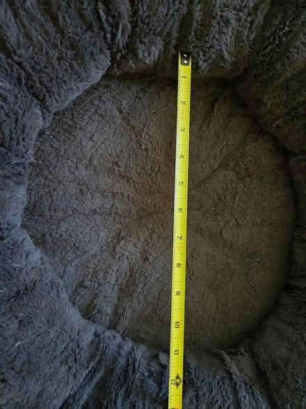 Photo of free Pet Beds (South San Francisco) #2