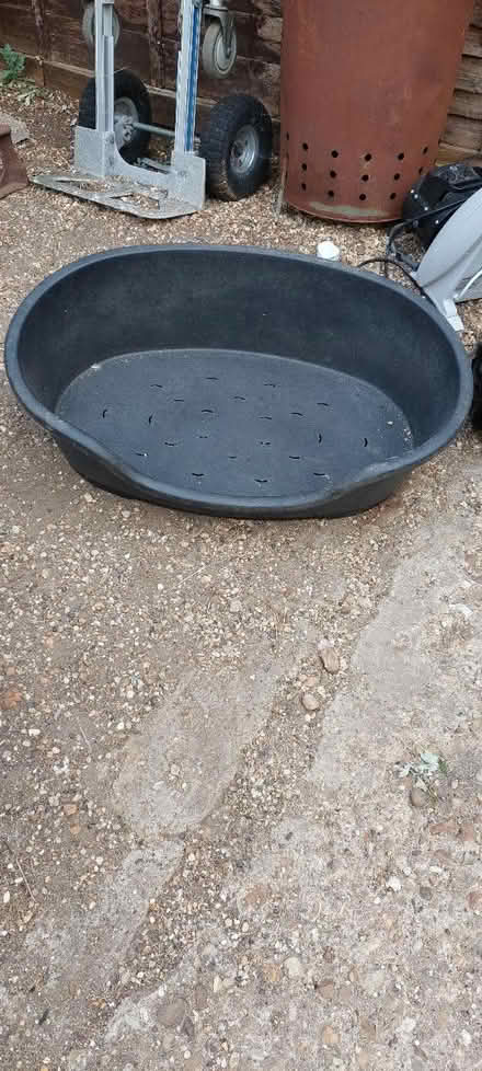 Photo of free Plastic dog bed (Harrold Bedford) #1