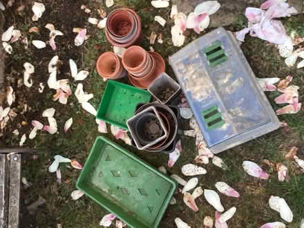 Photo of free Garden bits and pieces (Garden City OX5) #1