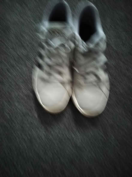 Photo of free Adidas trainers (Sheffield S14 Gleadless) #1