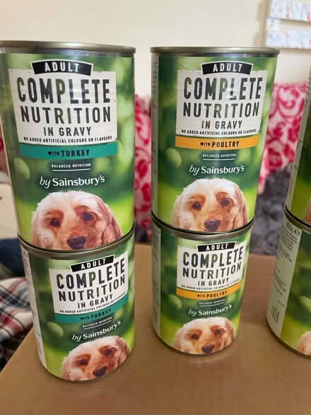 Photo of free 8 cans of dog food (Amersham HP7) #2