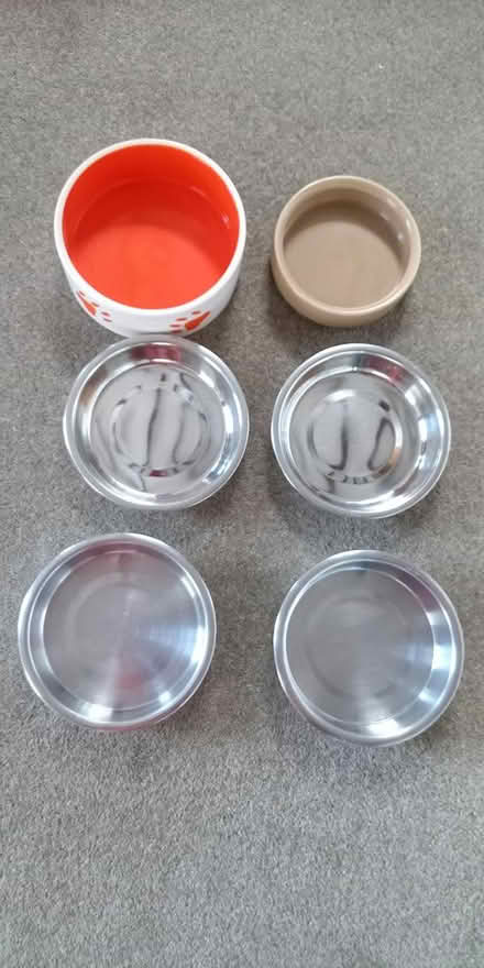 Photo of free Pet bowls (Horndean, PO8) #1