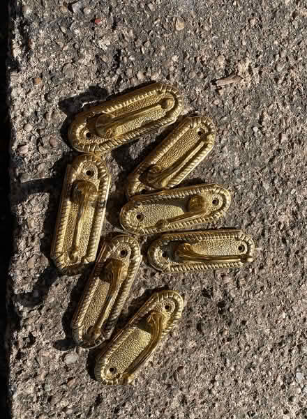 Photo of free Wall hooks (S11 High Storrs) #1