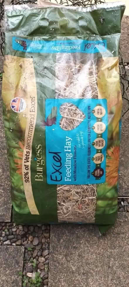 Photo of free Rabbit Feeding Hay (Woodseats S8) #1