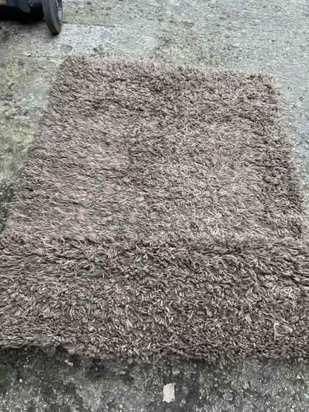 Photo of free Dunelm Rug (Treeton S60) #2